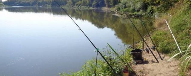 В Ростовской области складывается напряженная ситуация с болезнями рыбы в водоемах